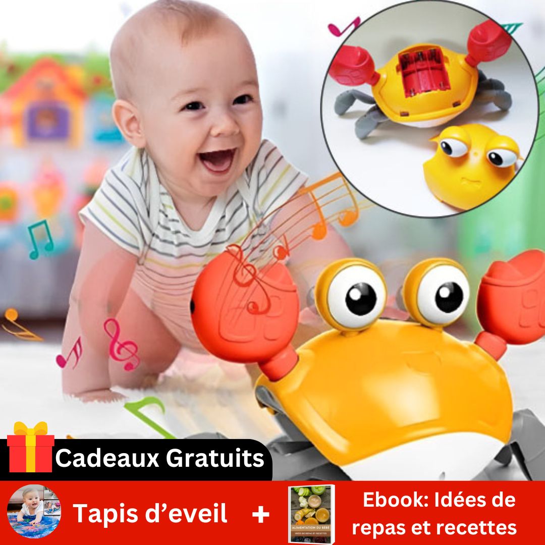 Pack Mini Explorateurs™