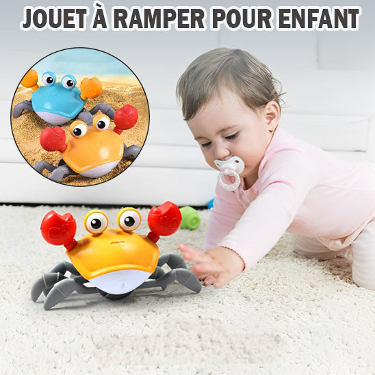 Pack Mini Explorateurs™