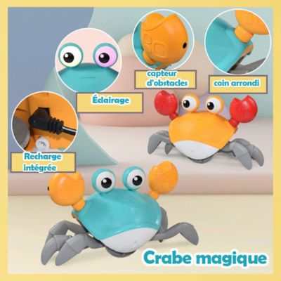Jouet-crabe-rampant-caractéristiques