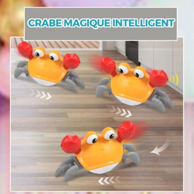    Jouet-crabe-rampant-orange