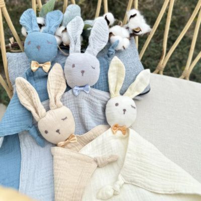 doudou-lapin-compagnons-de_vie